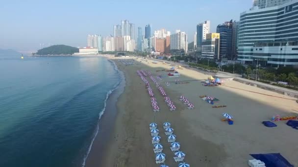 Ochtend Van Zomer Haeundae Strand Busan Zuid Korea Azië — Stockvideo