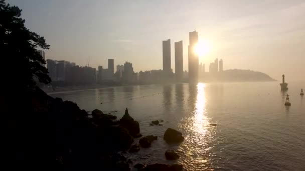 Pomnik Haeundae Beach Busan Korea Południowa Azja — Wideo stockowe