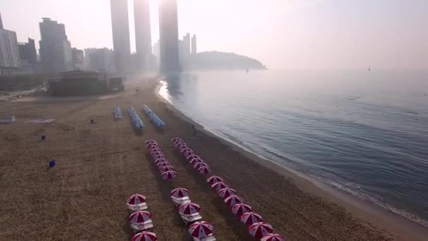 Svítání Letní Haeundae Beach Busan Jižní Korea Asie — Stock video