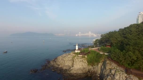 Sunrise Van Dongbaekseom Island Busan Zuid Korea Azië — Stockvideo