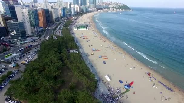 Flygvy Över Sunny Summer Haeundae Beach Busan Sydkorea Asien — Stockvideo