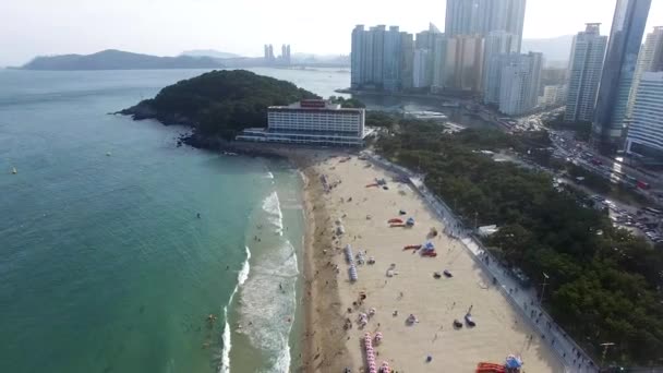 Luchtfoto Van Zonnige Zomer Haeundae Beach Busan Zuid Korea Azië — Stockvideo