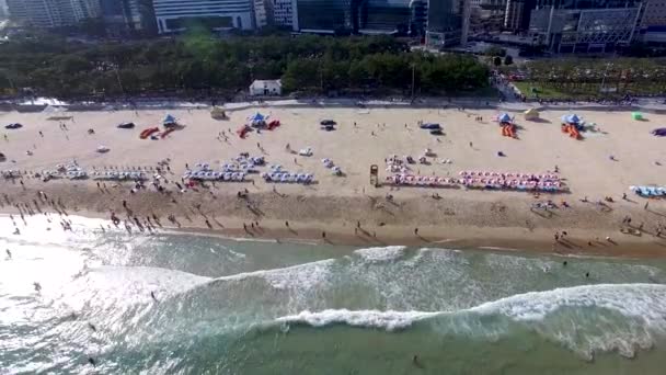 Widok Lotniczy Sunny Summer Haeundae Beach Busan Korea Południowa Azja — Wideo stockowe