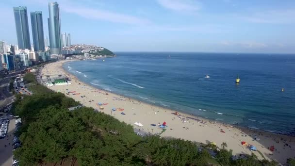 Vista Aérea Sunny Summer Haeundae Beach Busan Corea Del Sur — Vídeos de Stock