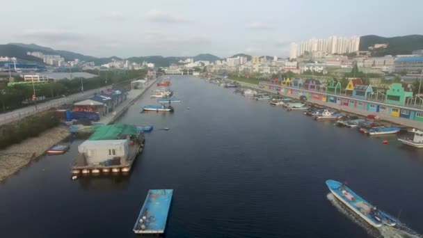 Aerial View Bunezia Janglim Port Janglimpogu Sahagu Busan South Korea — Stock Video