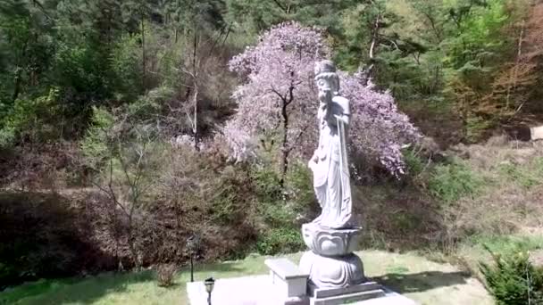 Aerival Över Yeondongsa Buddhist Temple Damyang Jeonnam Sydkorea Asien — Stockvideo