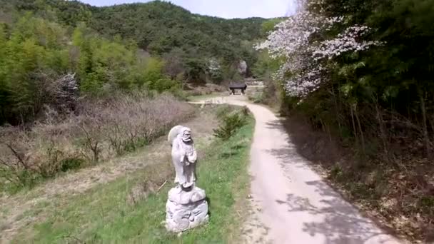 Aerival Över Yeondongsa Buddhist Temple Damyang Jeonnam Sydkorea Asien — Stockvideo