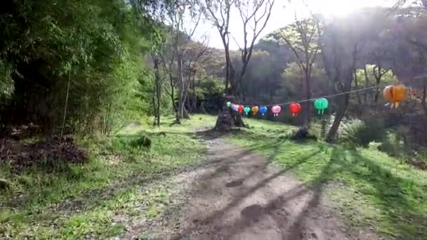 Lotus Lantern Geumseong Mountain Damyang Korea Południowa Azja — Wideo stockowe