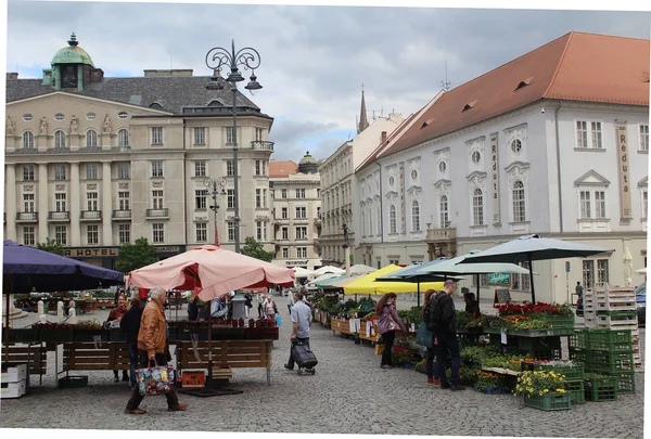 Pazar City'deki Brno, Çek Cumhuriyeti
