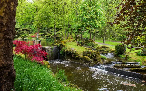 Tänkte gröda av växter — Stockfoto