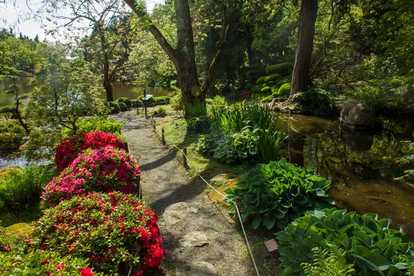 Άνθη Ροδόδεντρο Και Καλλιτέχνη Στον Ιαπωνικό Κήπο Maulivrier Γαλλία — Φωτογραφία Αρχείου