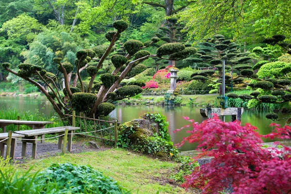 Cultura figurada de plantas — Fotografia de Stock