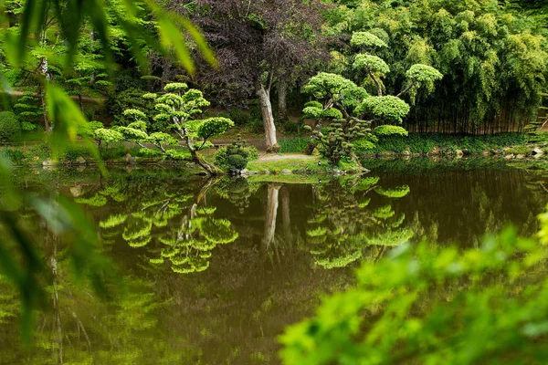 Pond  and  reflections — Stock Photo, Image