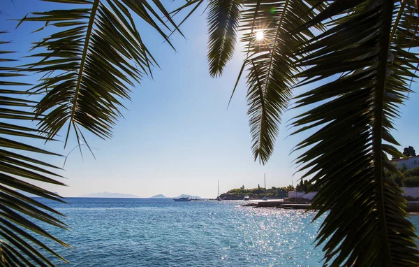 Piękna plaża na wyspie Spetses — Zdjęcie stockowe