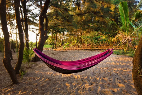 Hammock Idyllic South India Forest Nirvana Beach Kumtu — Stock Photo, Image