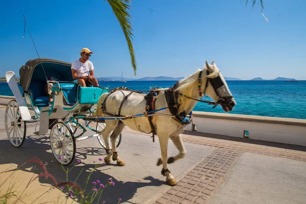 eski tarzda at arabaları - pastoral ada Spetses 