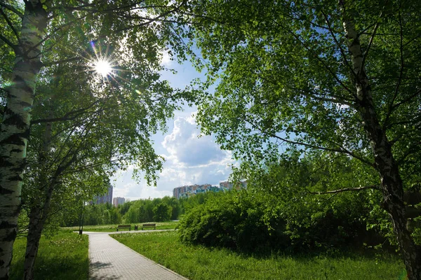 Parque paisajístico de Mitino . — Foto de Stock