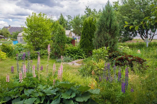 Liten Och Vacker Trädgård Nära Minsk Vitryssland — Stockfoto