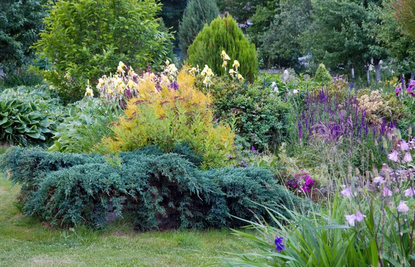 Pequeño y hermoso jardín —  Fotos de Stock