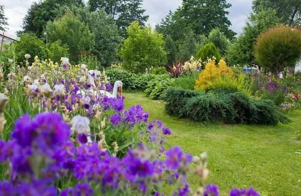 Jardim pequeno e bonito — Fotografia de Stock