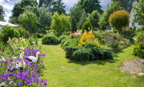 Jardim pequeno e bonito — Fotografia de Stock