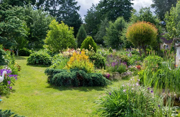 Verdura em pequeno jardim — Fotografia de Stock