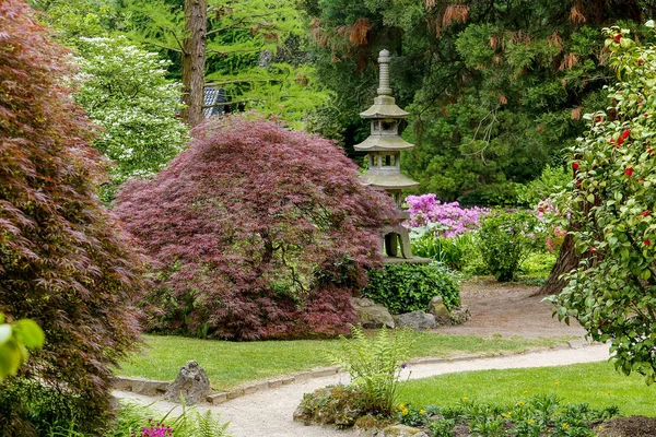 Belo Jardim Japonês Leverkusen Perto Cidade Colônia Alemanha Maio Primavera — Fotografia de Stock