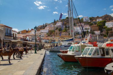 Ulaşım bagaj ve turistler için Atlar