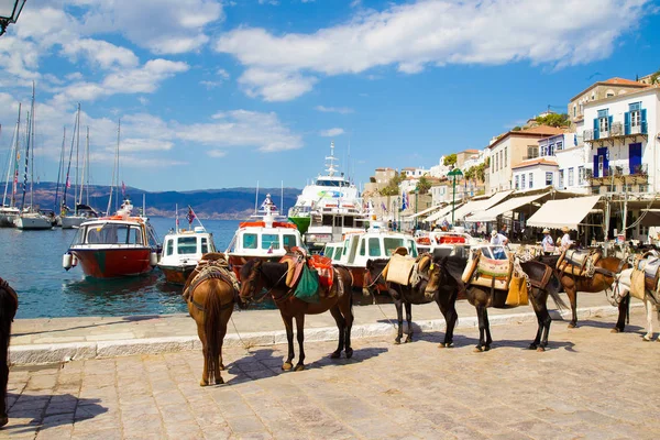 Maravillosa isla Hydra: caballos de carga —  Fotos de Stock