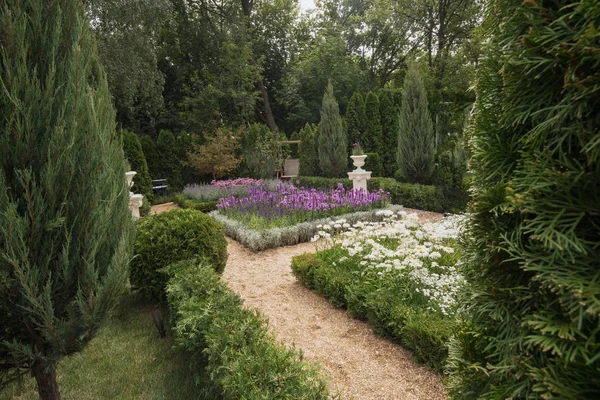 Jardin de l'un des participants . — Photo