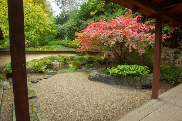 Japon akçaağacı ve Japon taş bahçesi..