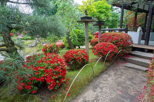 德国波茨坦的日本花园的美丽自然 开着红花的杜鹃灌木和地面小径 — 图库照片