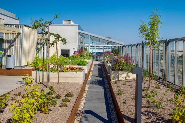 Roof Garden is a residential building near the port of Helsinki and the Baltic Sea. Sunflowers and other plants in special tanks - . Helsinki University Project - Garden Without Watering