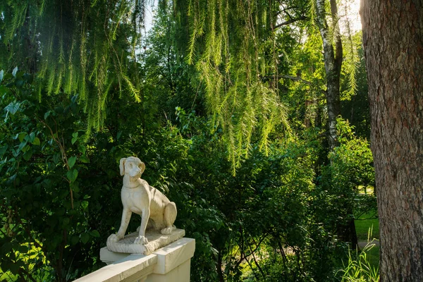 犬の記念碑 不動産 Arkhangelskpoye モスクワの郊外 夏のロシアで素晴らしい晴れた日 — ストック写真