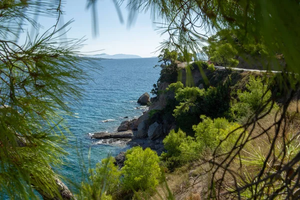 Fantastyczna Przyroda Greckiej Wyspie Spetses Dla Rekreacji Szczęścia — Zdjęcie stockowe