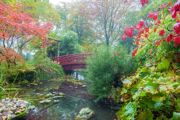 Jardín Japonés Leverkusen Alemania Fantástico Otoño Hierba Verde Hojas Amarillas —  Fotos de Stock