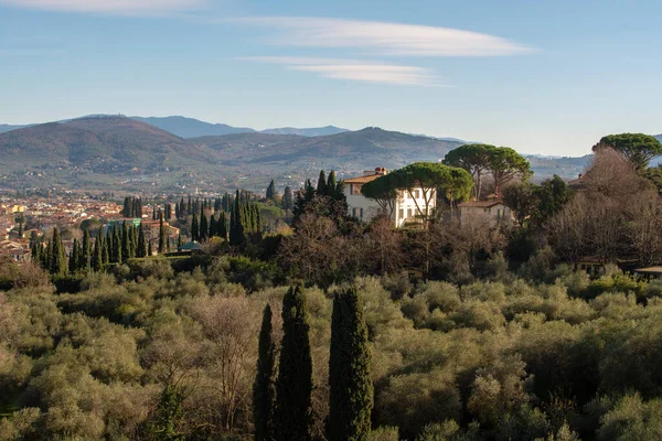 Amazing Villa Colina Florença Com Pinheiros Italianos Dia Ensolarado Panorama — Fotografia de Stock