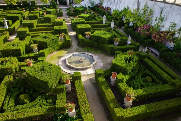 Jardim Paco Castelo Branco Episcopal Castelo Branco Portugal Arbustos Estátuas — Fotografia de Stock