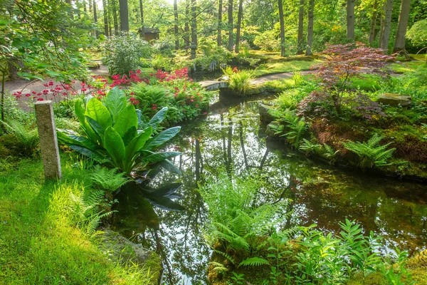 Increíble Escena Con Estanque Flores Rojas Agarden Japonés Haya — Foto de Stock