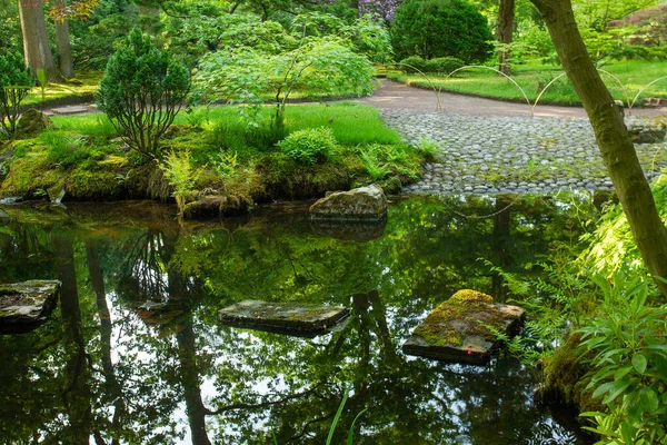 Awe Scene Japanese Garden Hague Awe Springtime Netherlandes — Stock Photo, Image