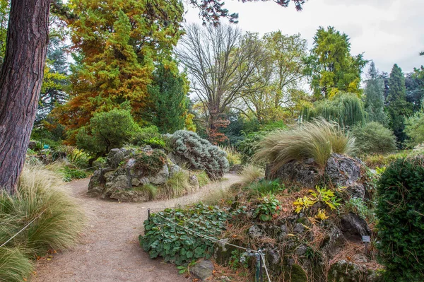 Úžasný Botanický Park Flora Kolíně Nad Rýnem Podzim Krása Přírody — Stock fotografie