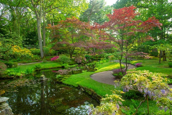 Impresionante Estanque Flores Rododendro Jardín Japonés Europa Increíble Hojas Rojas —  Fotos de Stock