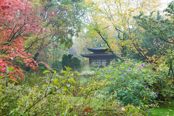 Cores Temerosas Outono Folhas Vermelhas Bordo Japonês Construção Como Pagode — Fotografia de Stock