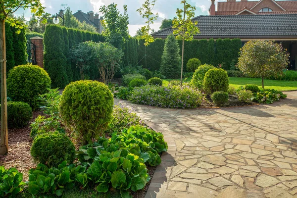 Jardim Incrível Com Plantas Perenes Fluxo Seco Pavilhão Perto Mansão — Fotografia de Stock