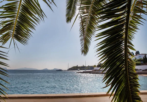 ヤシの葉とヨットの素晴らしい熱帯のシーンは 太陽の光の下で島から移動します 遠く離れた水とギリシャの島で太陽の光輝く ハイドラ — ストック写真