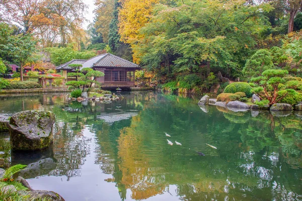 カイザースラウテルンの日本庭園の素晴らしい秋の自然 木の上に池とカーペットKoi 黄色とオレンジの葉 — ストック写真