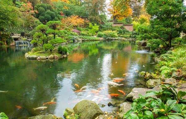 Idyllische Herbstszene Koi Karpfen Teich Und Orangen Herbstfarben Japanischen Garten — Stockfoto