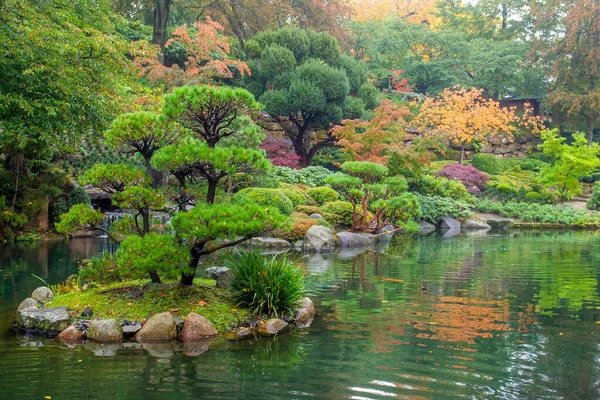 Cena Outono Incrível Lagoa Jardim Japonês Kaiserslautern Alemanha Koi Carpas — Fotografia de Stock
