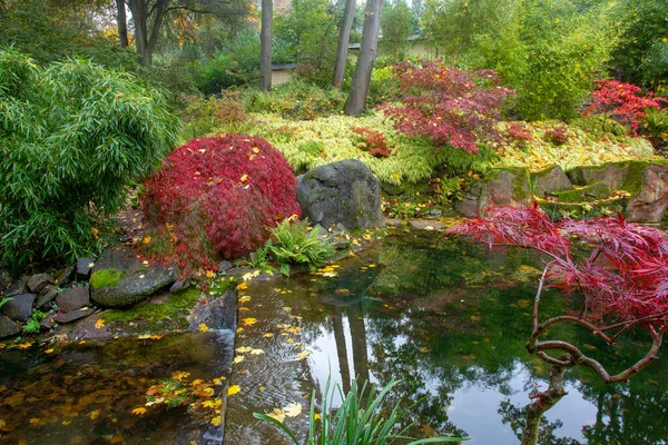 Потік Японському Саду Кайзерслаутерні Німеччина Фантастична Оранжева Осінь Червоні Япанські — стокове фото