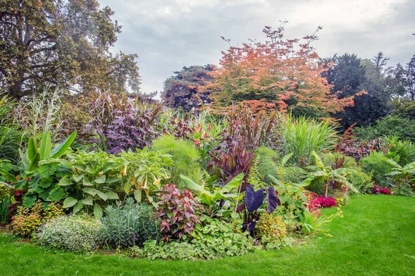 Amazing, nature, autumn  - Garden of Plants in Paris.   Orange and yellow  colors of autumn  and awe perennials in Garden of plants